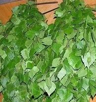 Веники березовые и из можжевельника